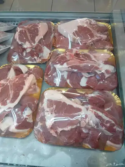 يوجد شهاده صحيه وخبره حاشي غنم عجل index