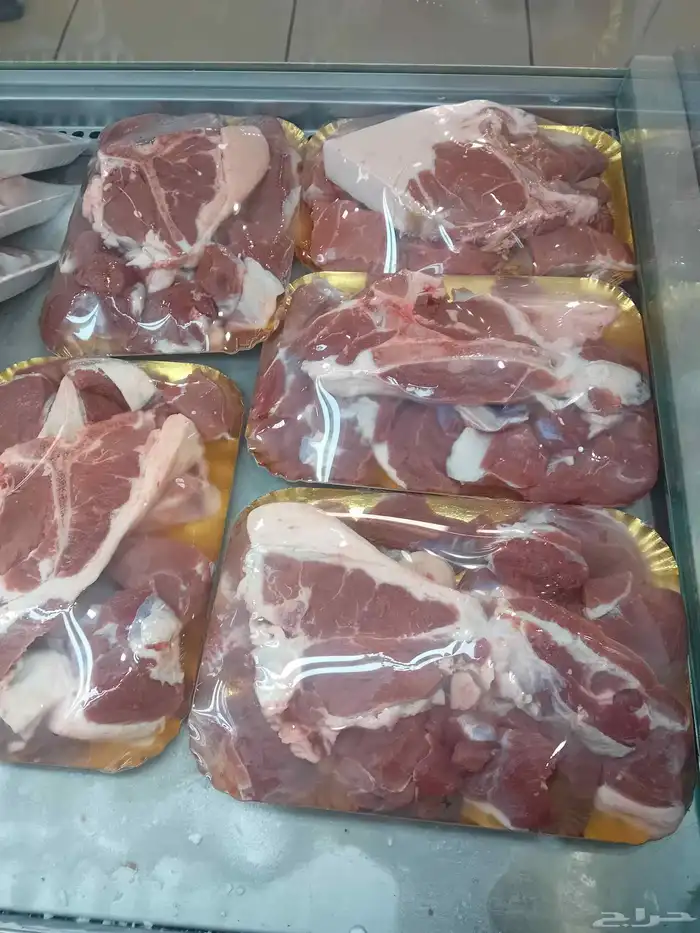 يوجد شهاده صحيه وخبره حاشي غنم عجل 5