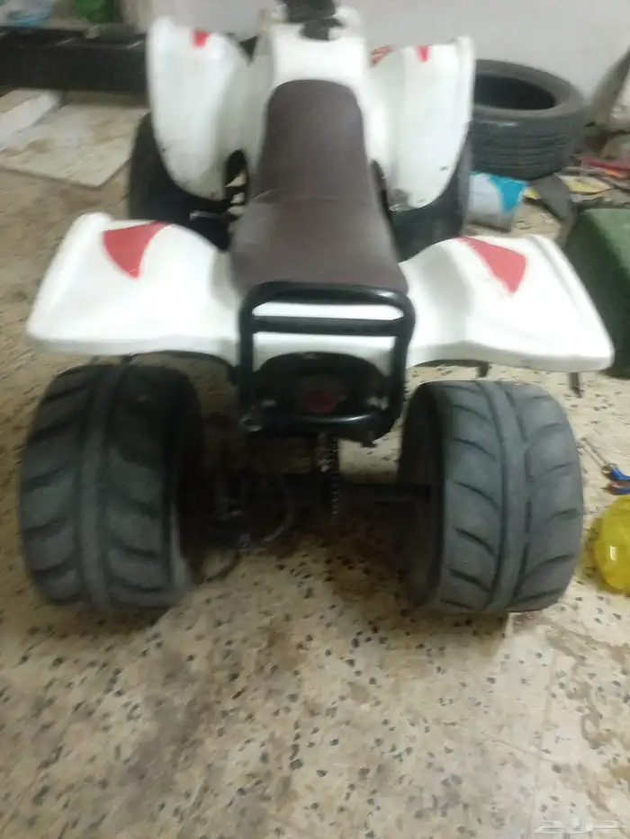 دباب تيواني للبيع 1