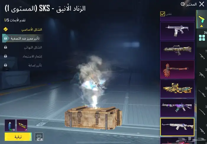 حساب ببجي 21