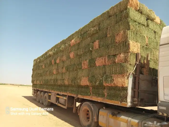 برسيم شركه متر صافي فاخر رقم واحد 2