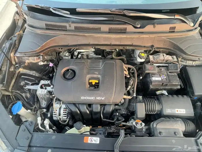 كونا 2020 للبيع 5