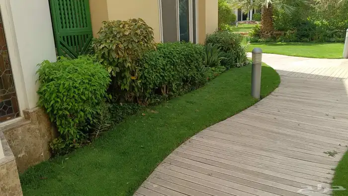 تنسيق حدائق 2