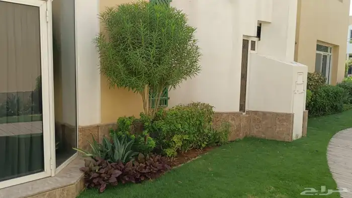 تنسيق حدائق 0