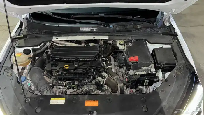 شاين ماكس دنق يونق 60 موديل 2024 3