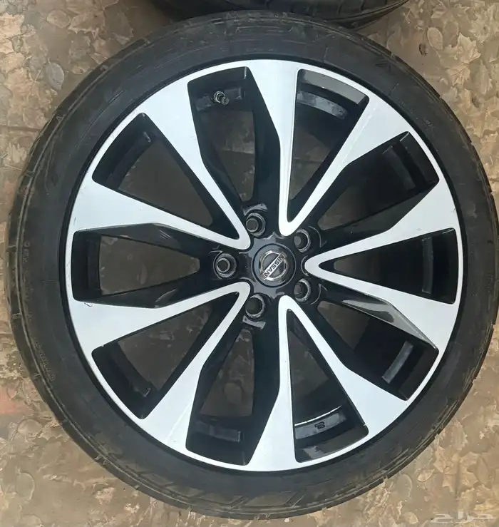 جنوط مكسيما SR 1