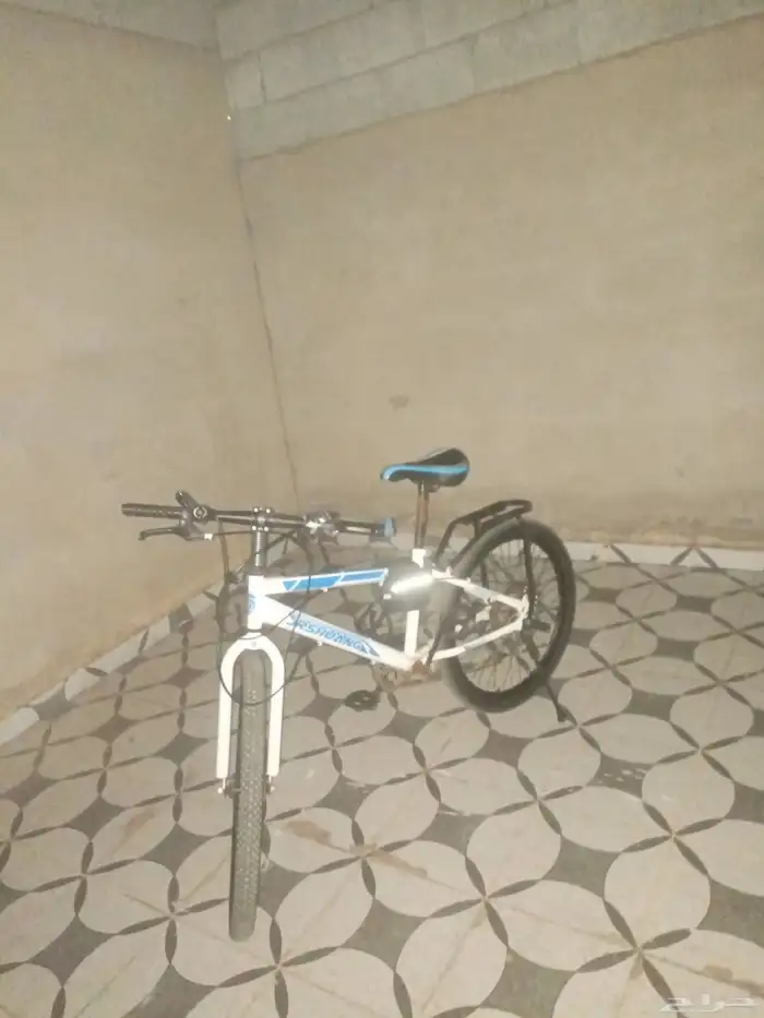 سيكل رياضي بتروس مقاس 24 2