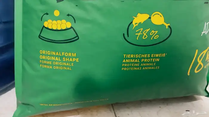 أكل قطط (دراي فود ) 1