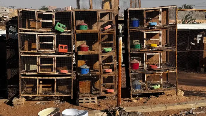 للبيع محاكر حمام 0