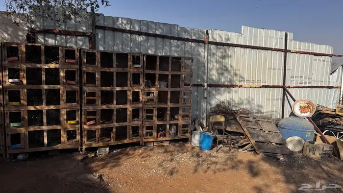 للبيع محاكر حمام 1