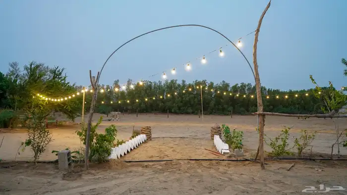 اغراض اسطبل خيل 2