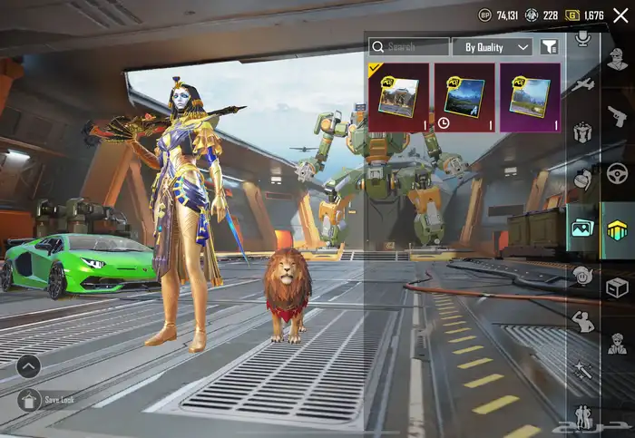 حساب ببجي فخم ورخيص 2