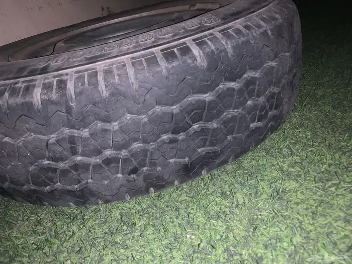 سكاكا جنوط قصيمي 2