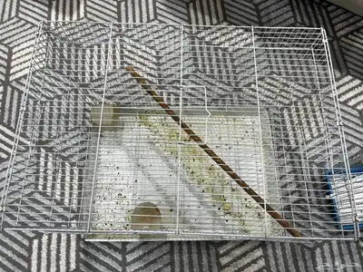 اقفاص طيور وستاند 601 index