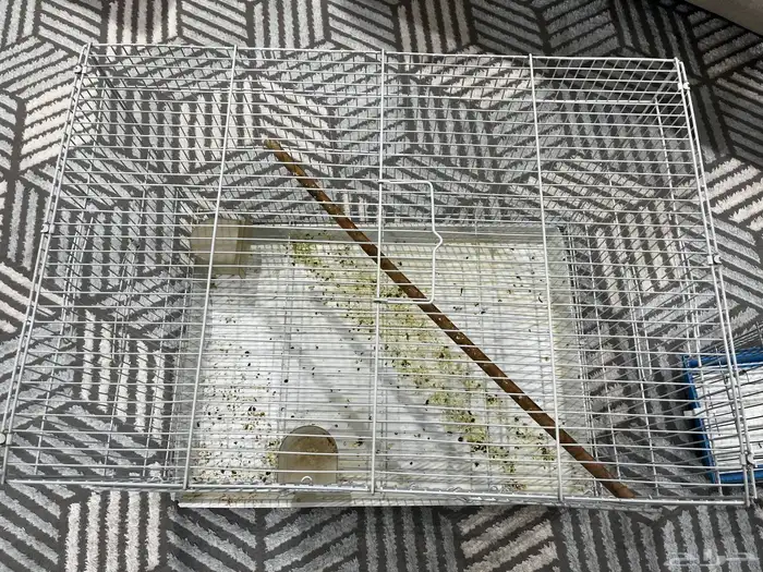 اقفاص طيور وستاند 601 2