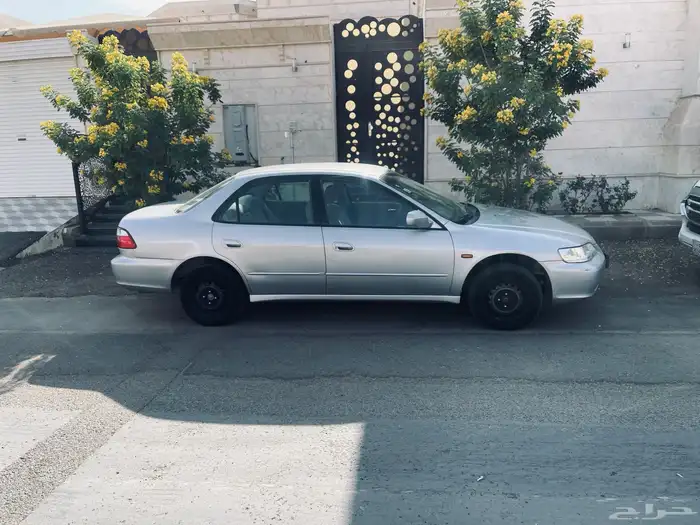 هونداء اكورد 1