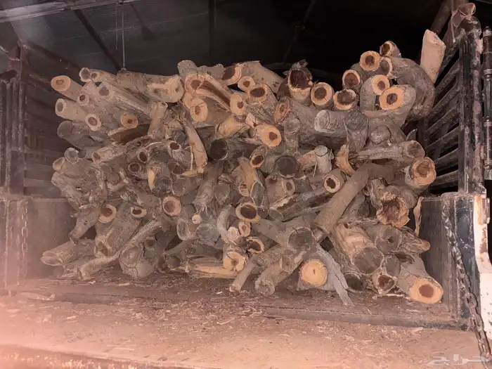 غظاء ارطاء سمر 1