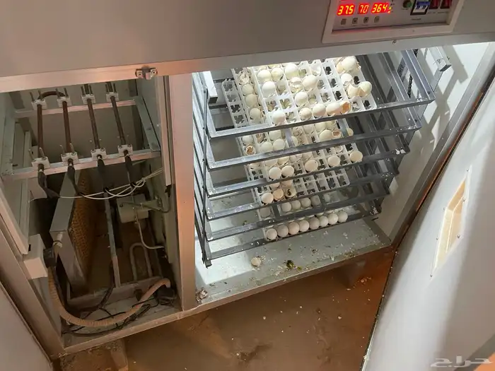 فقاسه جديده 1056 2