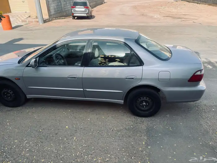 هونداء اكورد 3