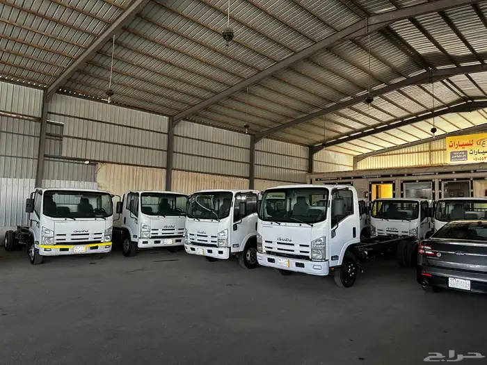 ايسوزو دينا 2014 0