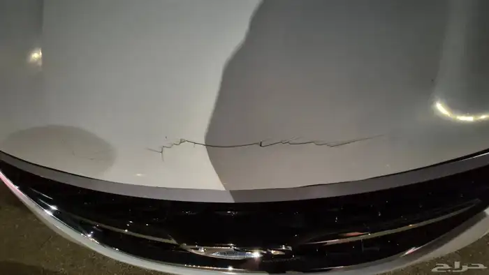 شيري ايرزو 2021 4