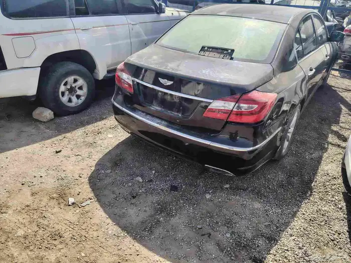 جنسس تشليح موديل 2013 4