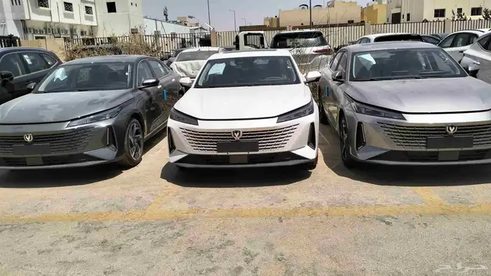 ايدو بلس 2026 حصري جميع الفئات 6