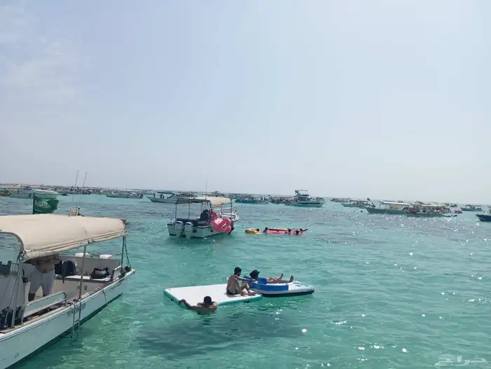 تأجير قوارب صيد ونزهه وسباحه رحله بياضه رحلة صيد 0