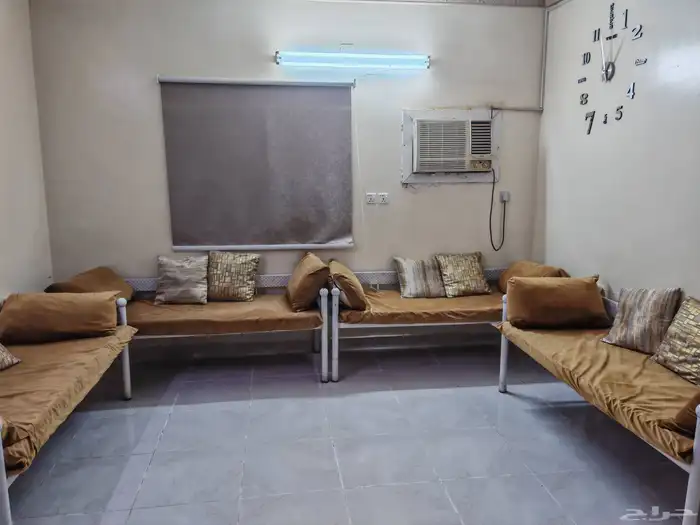 كراسي مع الفراش للبيع ب1200 شبه جديده سبب البيع التغير 1