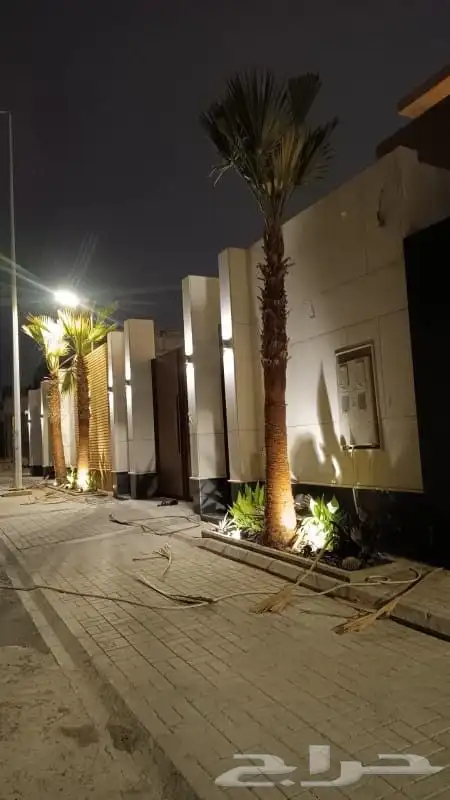 يوجد لدينا جميع انواع الواشنطن ابيض اسود غرص اسود مروحه 3