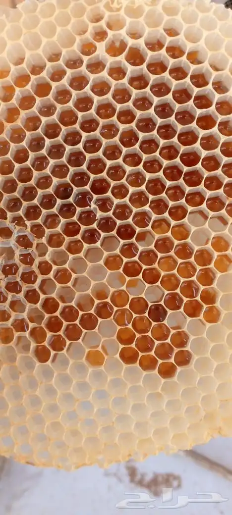 عسل بلدي 3