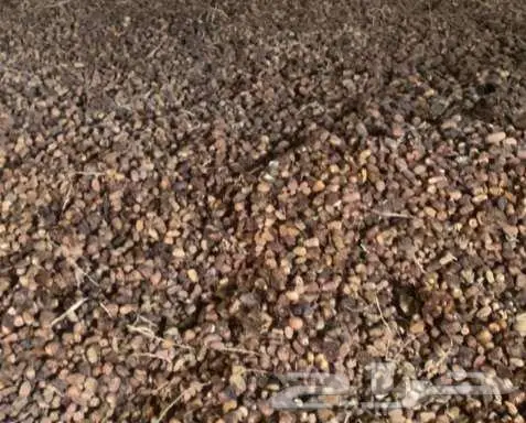 تمر للحلال 1