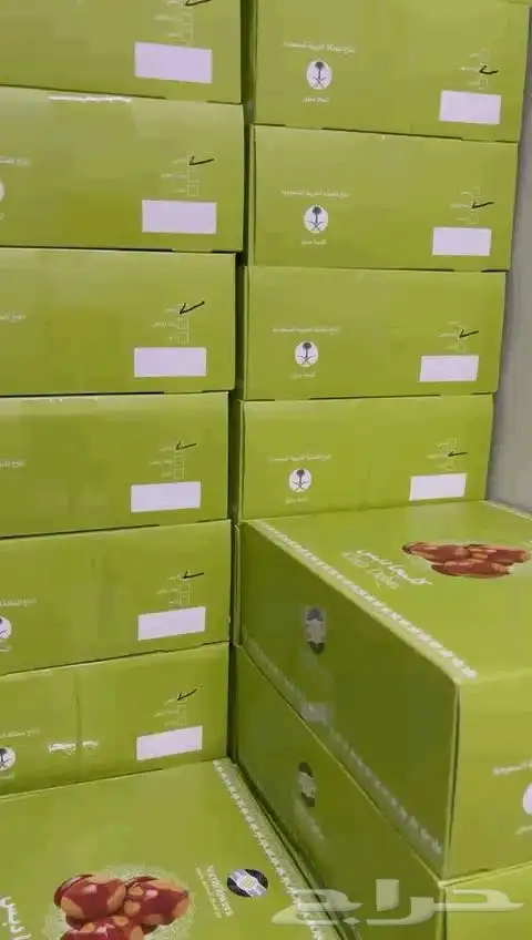 كليجا سعودية 100 1