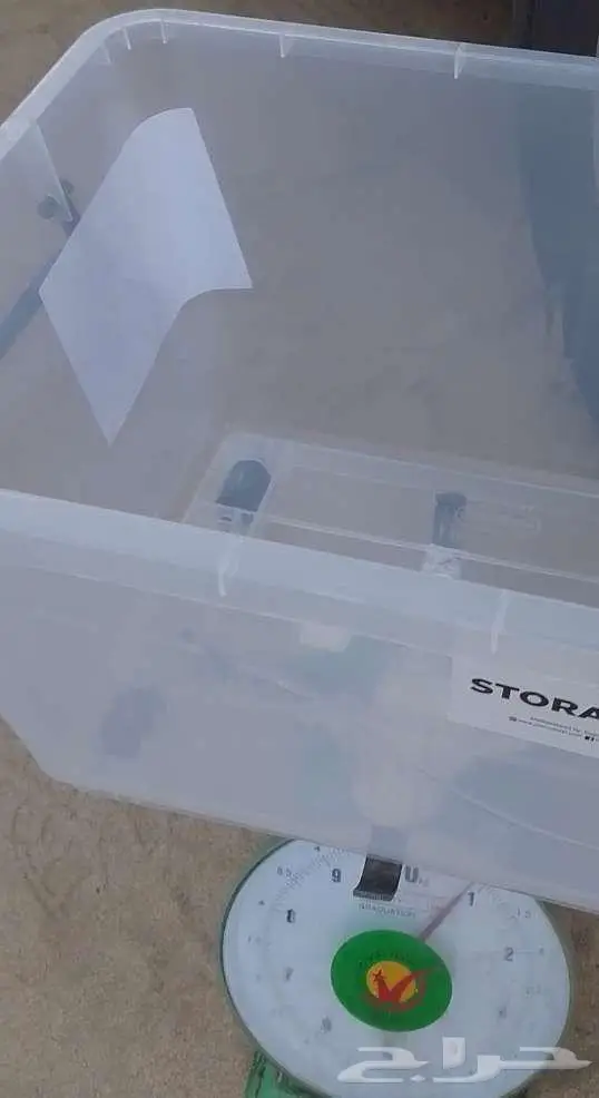 عسل بري حر جديد الكيلو ب100 ريال 0