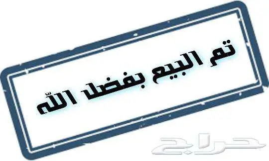 دجاج فيومي بشاير 3