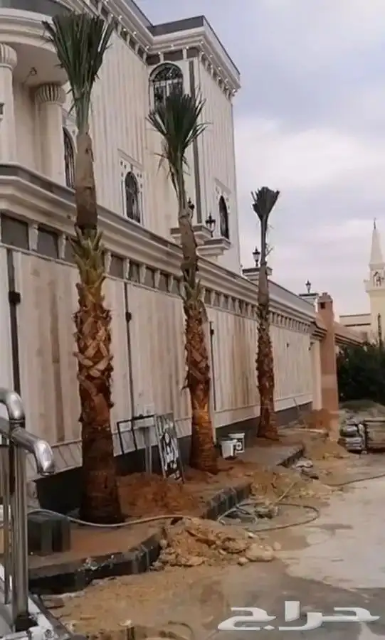 جميع انوع انخيل 2