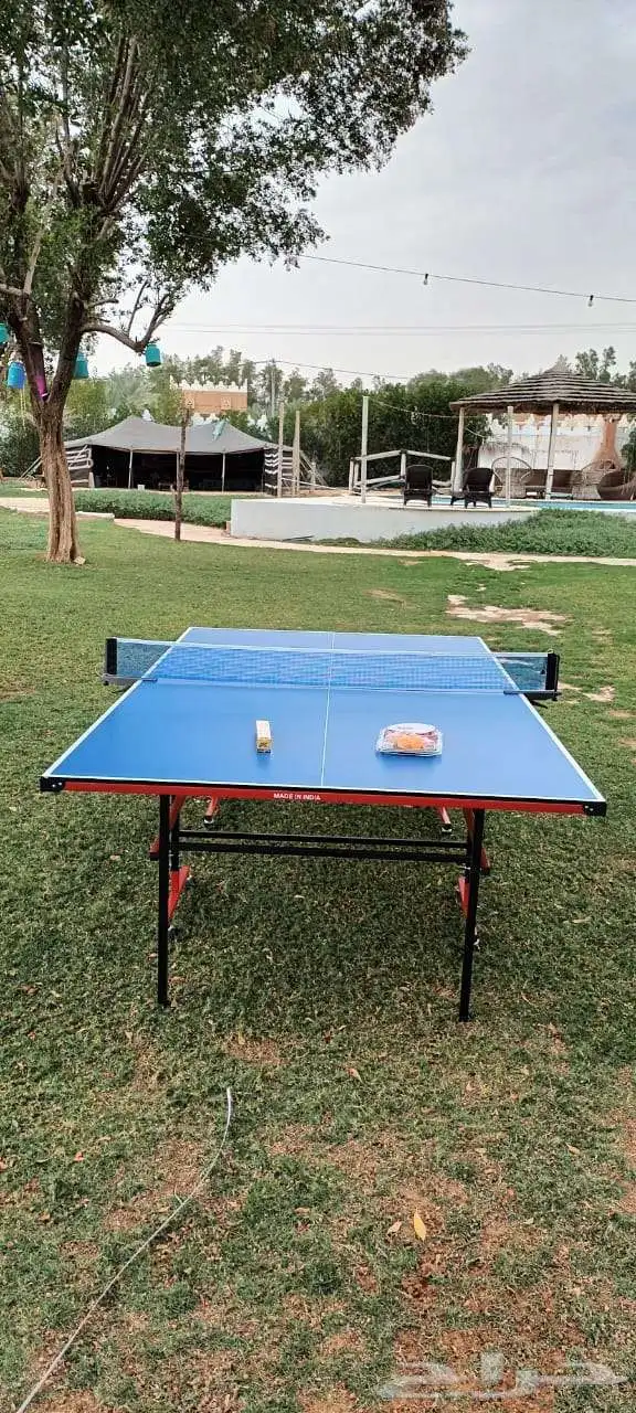 بلياردو بمقاسات متعددة والعاب دولية تنس وفرفيره 19