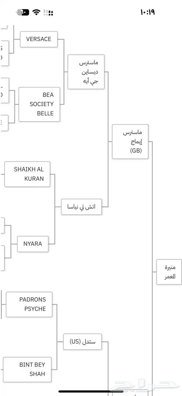 فرس شخيه بنت مستر ايمج 5