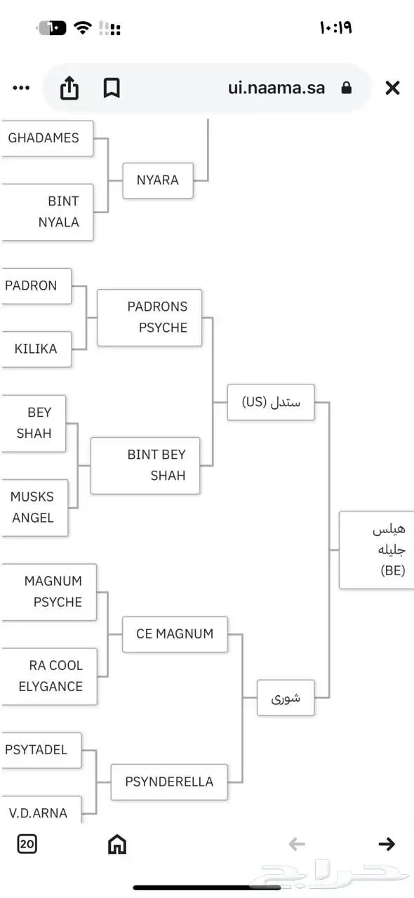 فرس شخيه بنت مستر ايمج 4