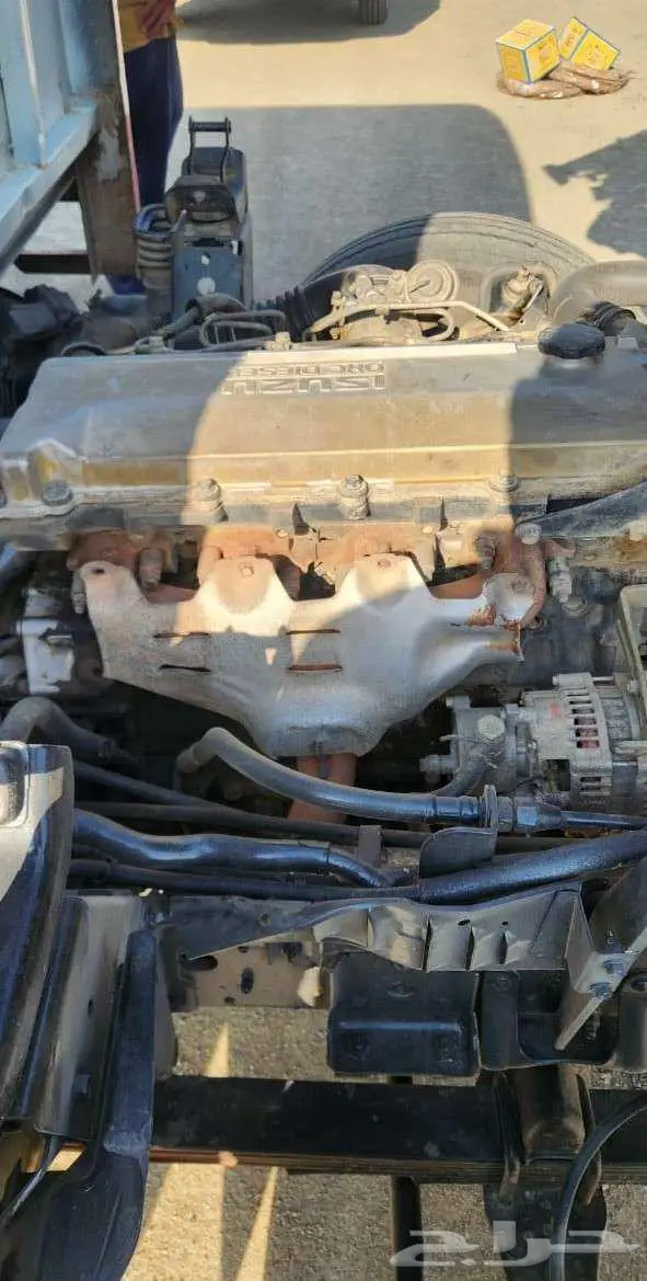 ديانا ايسوزو للبيع 1