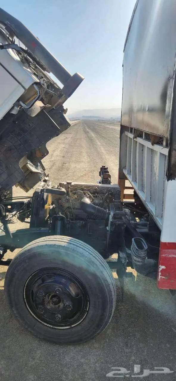 ديانا ايسوزو للبيع 6