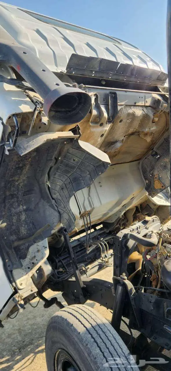 ديانا ايسوزو للبيع 8