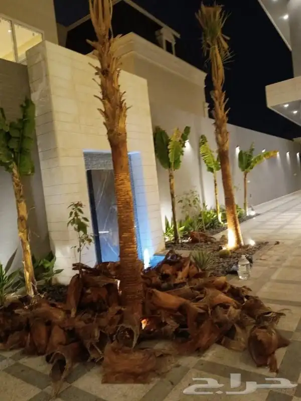 يوجد لدينا جميع انواع الواشنطن ابيض اسود غرص اسود مروحه 2