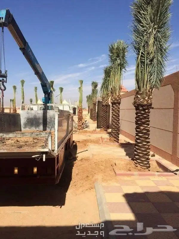 جميع انوع انخيل 1