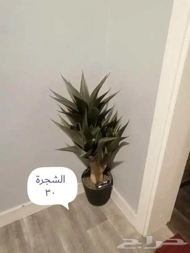 السلام عليكم أغراض نظيفة جدا للبيع الطايف 0