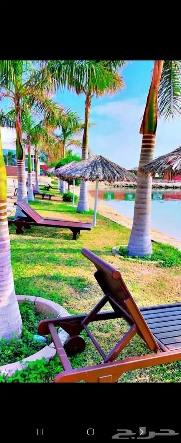 شاليه ارض السعادة 1 للبيع 13