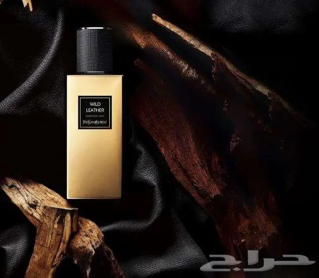 افخم العطور الشتوية من دار الجمال ايف سان لوران 5