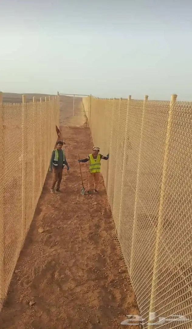 مقالات شبوك في جميع أنحاء المملكة العربية السعودية 5