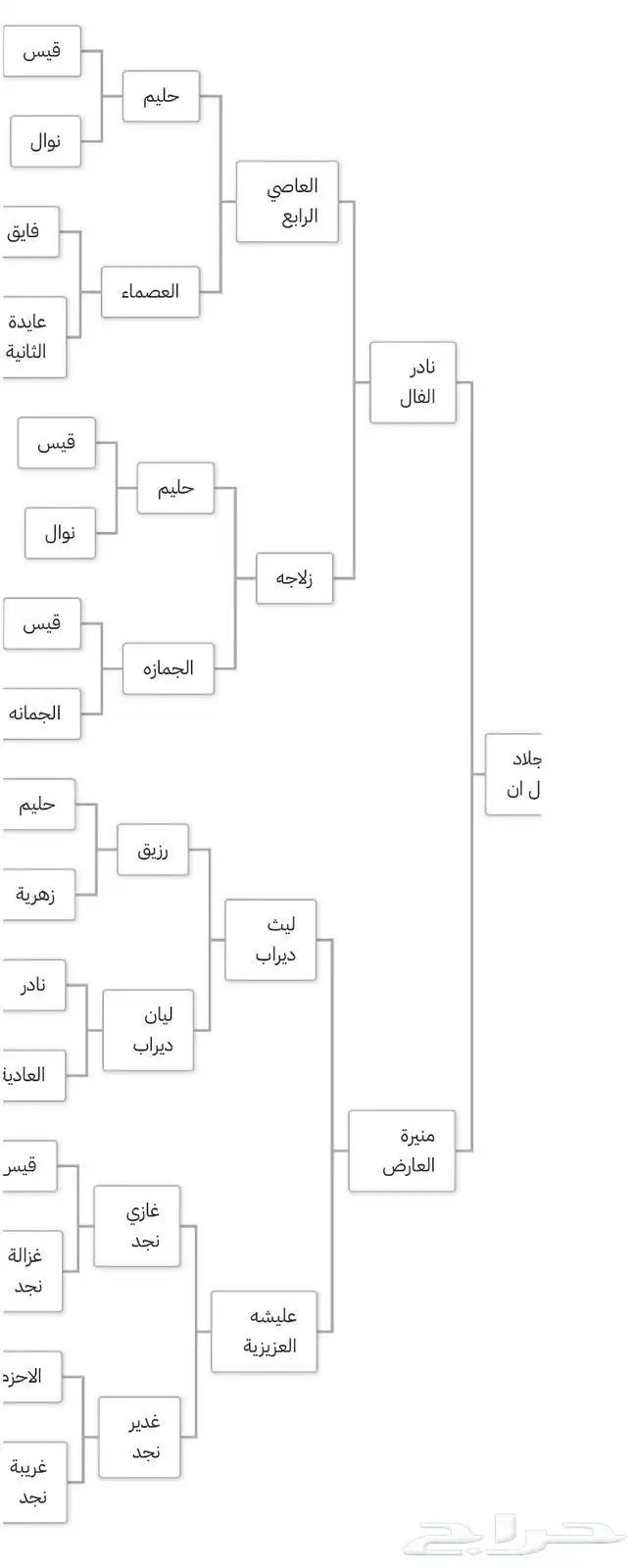 حصان جزيري بيور سبق 4