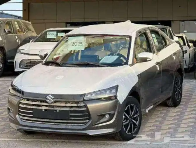 DziRE 2025 13
